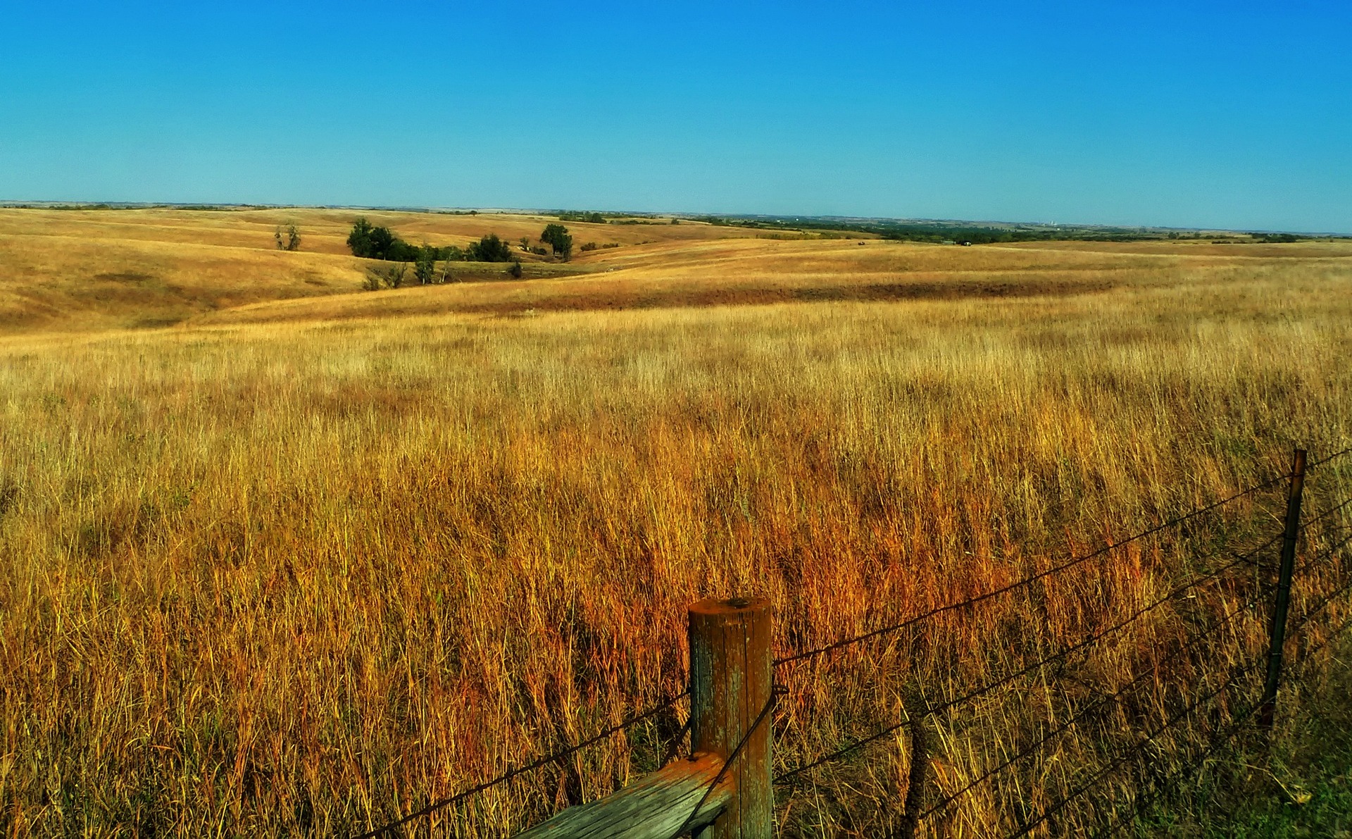 Landwirtschaftliche Fläche in Nebraska