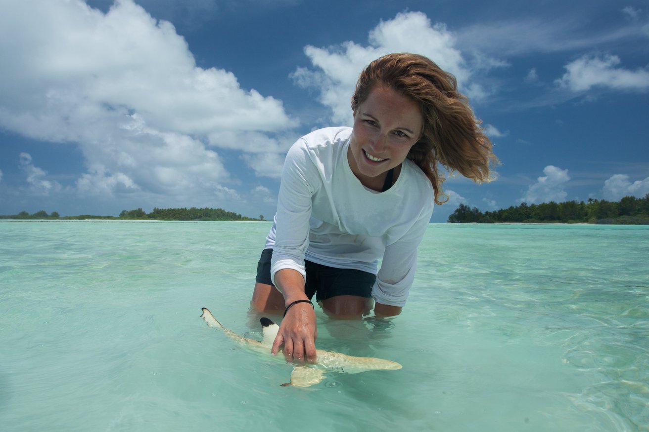 Feldarbeit auf den Seychellen Feldarbeit auf den Seychellen
