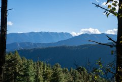 Weite Waldlandschaften in Bumthang