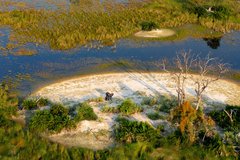 Okavango Delta