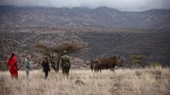 Safari zu Fuss