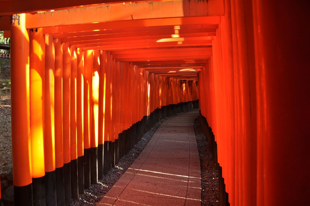Fushimi Inari-Taisha Torii in Kyoto