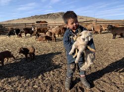Junge in der Mongolei