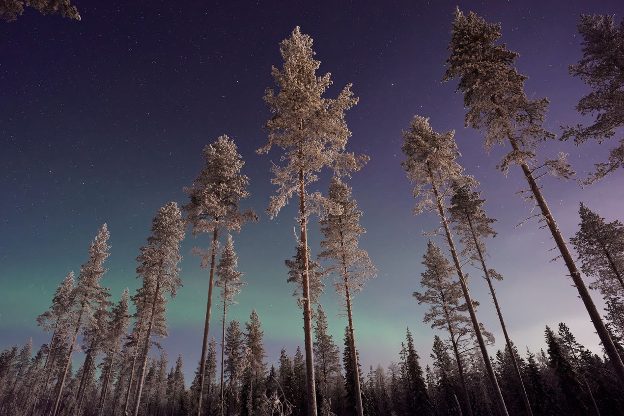 Nordlicht im finnischen Lappland 