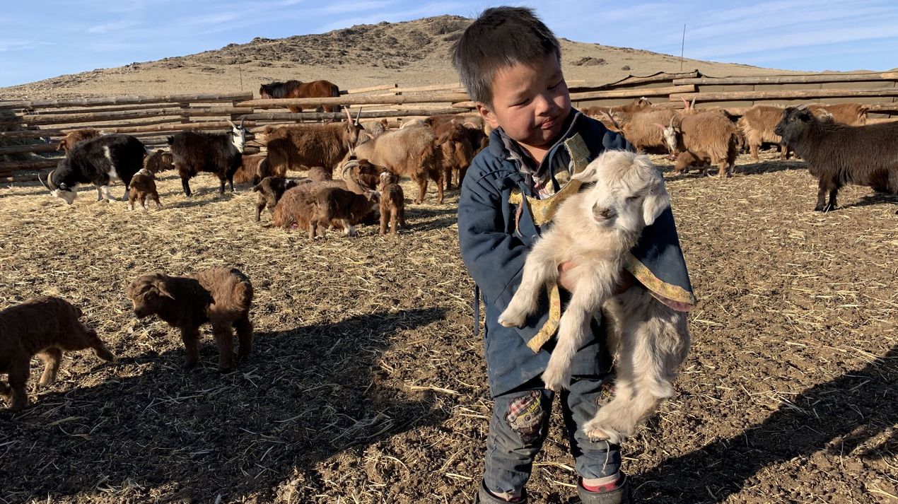 Hirtenjunge in der Mongolei