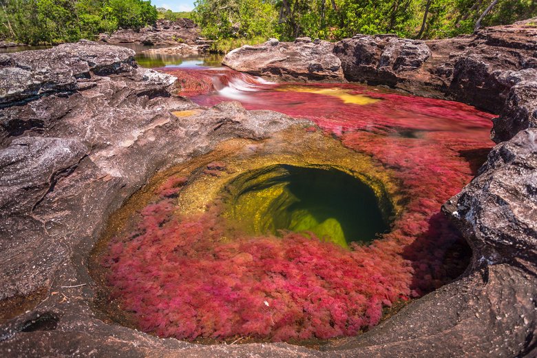 Caños Cristales