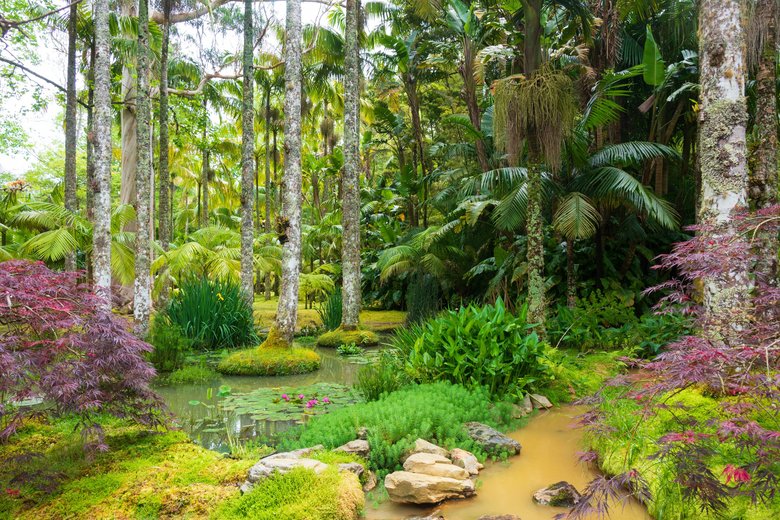 Parque Terra Nostra Furnas Parque Terra Nostra Furnas
