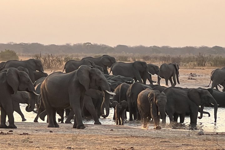 Elefanten im Hwange Nationalpark Elefanten im Hwange Nationalpark