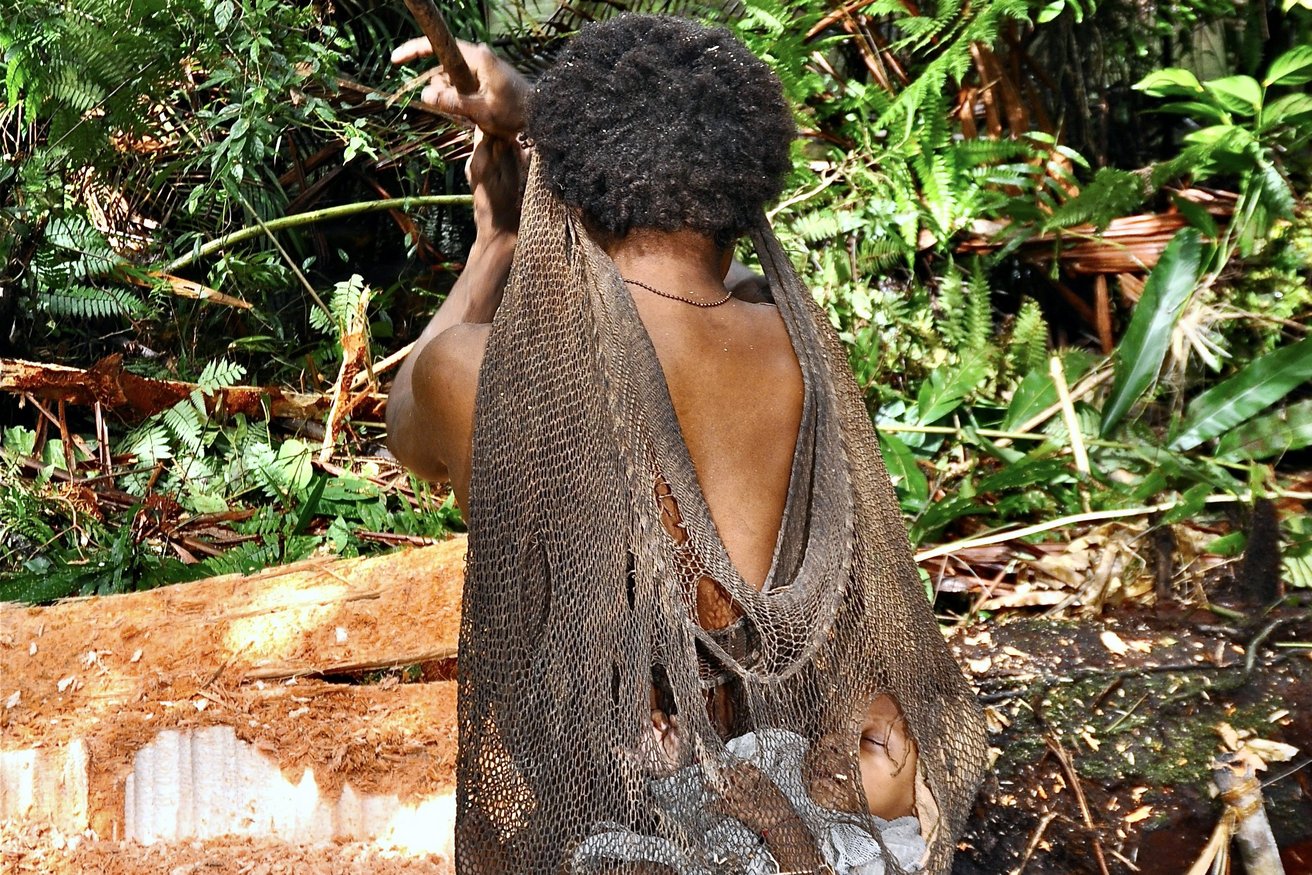 Die Sagoernte ist harte Arbeit