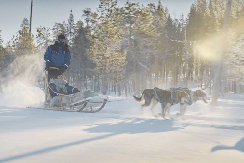 Hundeschlitten-Fahrt Hundeschlitten-Fahrt