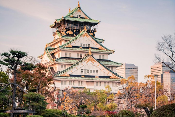 Burg von Osaka im Rosa der Kirschblüten